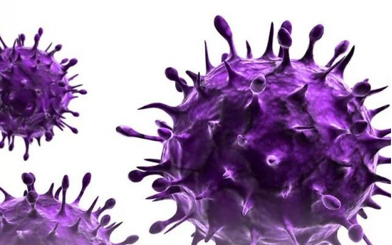 關(guān)于積極配合做好當(dāng)前疫情防控工作的通知